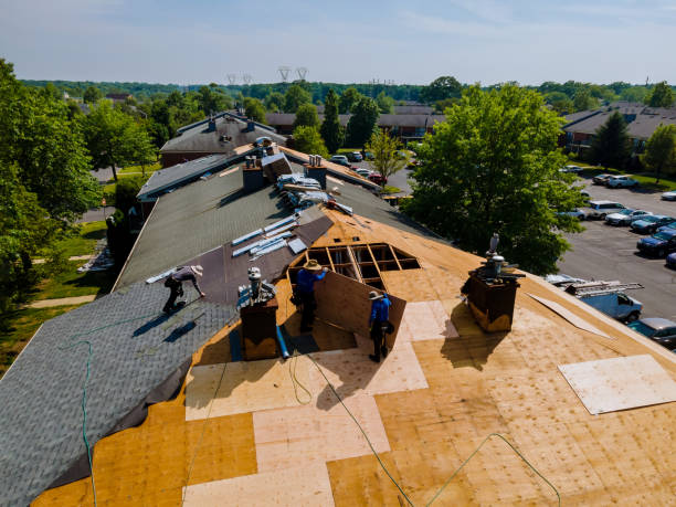 Best Storm Damage Roof Repair  in Glade Spring, VA